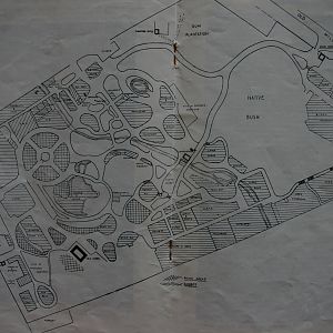 Auckland Zoo map, c. 1960