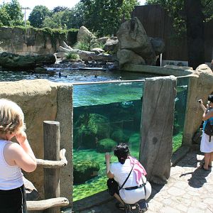 zoo trip Europe 2008