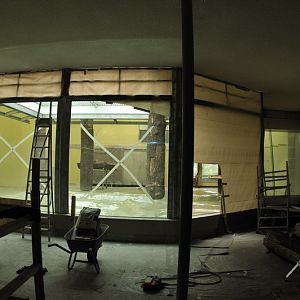 New Gorilla indoorexhibit