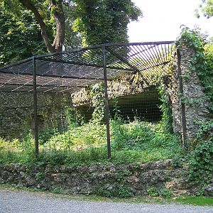 Cage in the old zoo