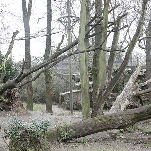 Sri Lankan Leopard enclosure