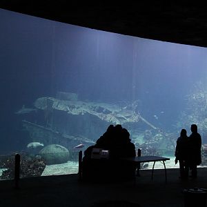 Ocean tank