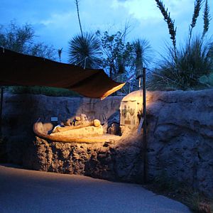 simulated mammoth dig