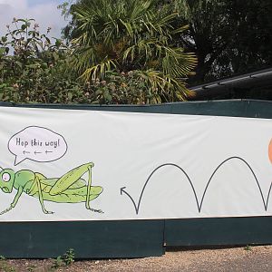 Signage for Bugs Chester 2013