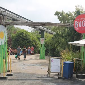 Entrance to Bugs Chester 2013