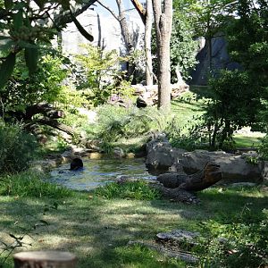 Paddock of Tremarctos ornatus and Alouatta caraya