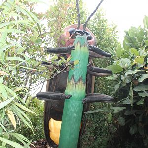 Say's Firefly Bugs Chester Zoo 2013