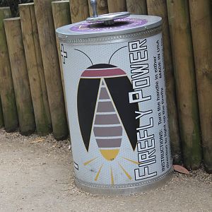 Bugs Chester Zoo 2013