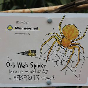 Sponshorship label Bugs Chester 2013