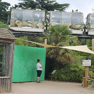 Photography area Bugs Chester 2013