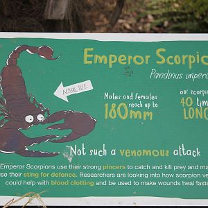 Labelling Bugs Chester Zoo 2013