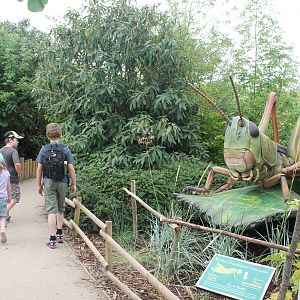 exhibit and walkway Bugs Chester Zoo 2013