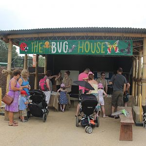 The Bug House Chester Zoo 2013