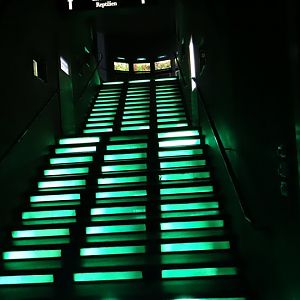 Stairs from the aquarium to the terrarium