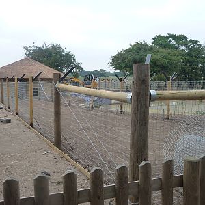 anteater enclosure