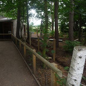 development in the woods