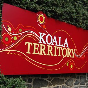 Koala Territory
