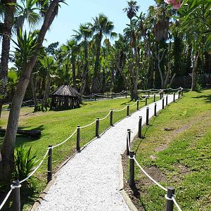 Wallaby walkthrough, July 2013.