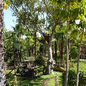 Red panda enclosure, July 2013.