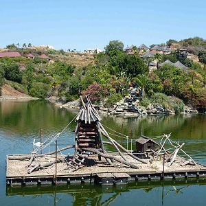 Marmoset 'island'? July 2013.