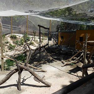 Lemur walkthrough, July 2013.