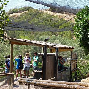 Bird canyon viewing area, July 2013.
