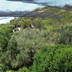 Bird canyon, July 2013.