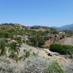 View across the safari area, July 2013.