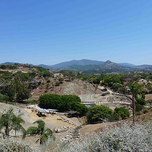 View across the safari area, July 2013.