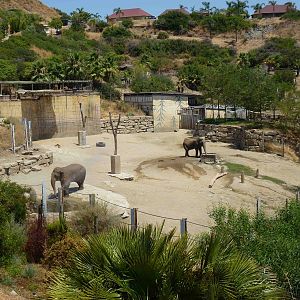Elephant enclosure, July 2013.