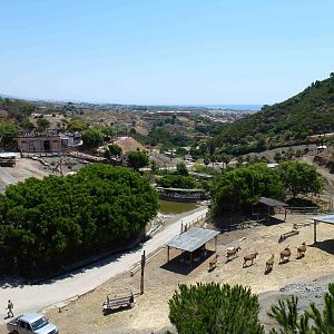 View across the safari area, July 2013.