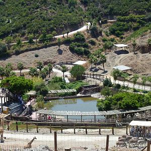 Hippo enclosure, July 2013.