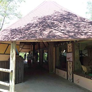 Reptile house, July 2013.