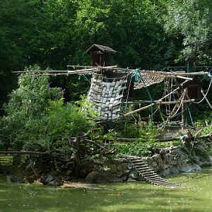Ruffed lemur enclose