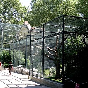 Aviaries