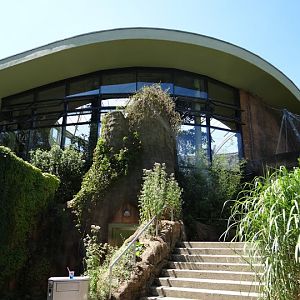 Pavilion of gorillas and other