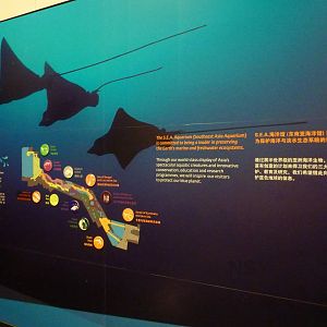 Thematic board, S.E.A. Aquarium, May 2013.