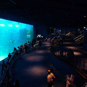 Open ocean viewing levels, S.E.A. Aquarium, May 2013.