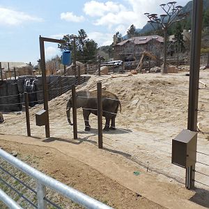 Part of Elephant Yard
