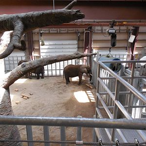 Elephant Barn