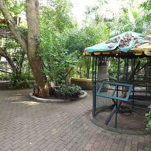 Bird cages, June 2013.