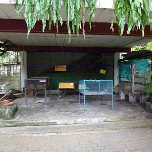 Snake holding enclosures - photo props, June 2013.