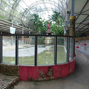 Crocodile arena, June 2013.