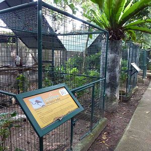 Bird of prey enclosures, June 2013.