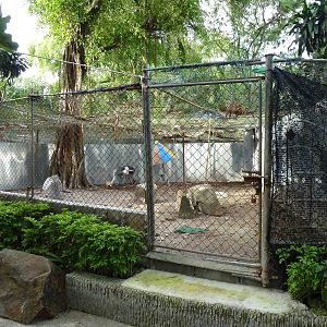 Crane breeding enclosure, June 2013.