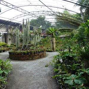 Plant nursery, June 2013.