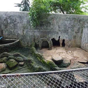 Otter enclosure, June 2013.