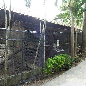 Primate cages, June 2013.