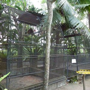 Primate enclosures, June 2013.
