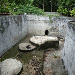 Bear pit, June 2013.